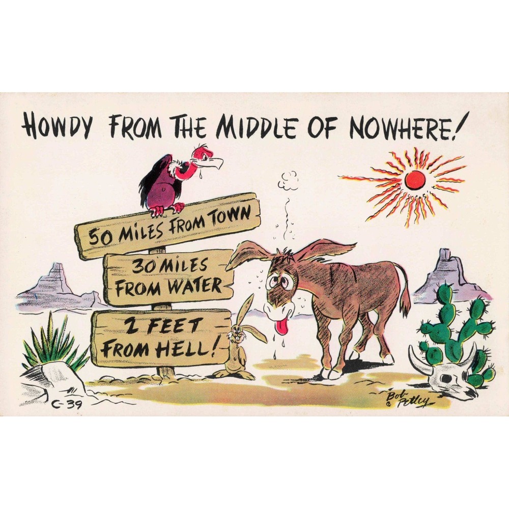 Vintage Bob Petley Laff Card C-39 Howdy From The Middle Of Nowhere Postcard